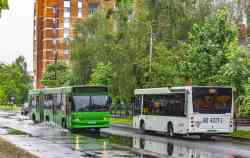 593 КБ