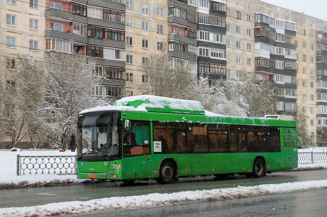 Свердловская область, МАЗ-203.L65 № 1684