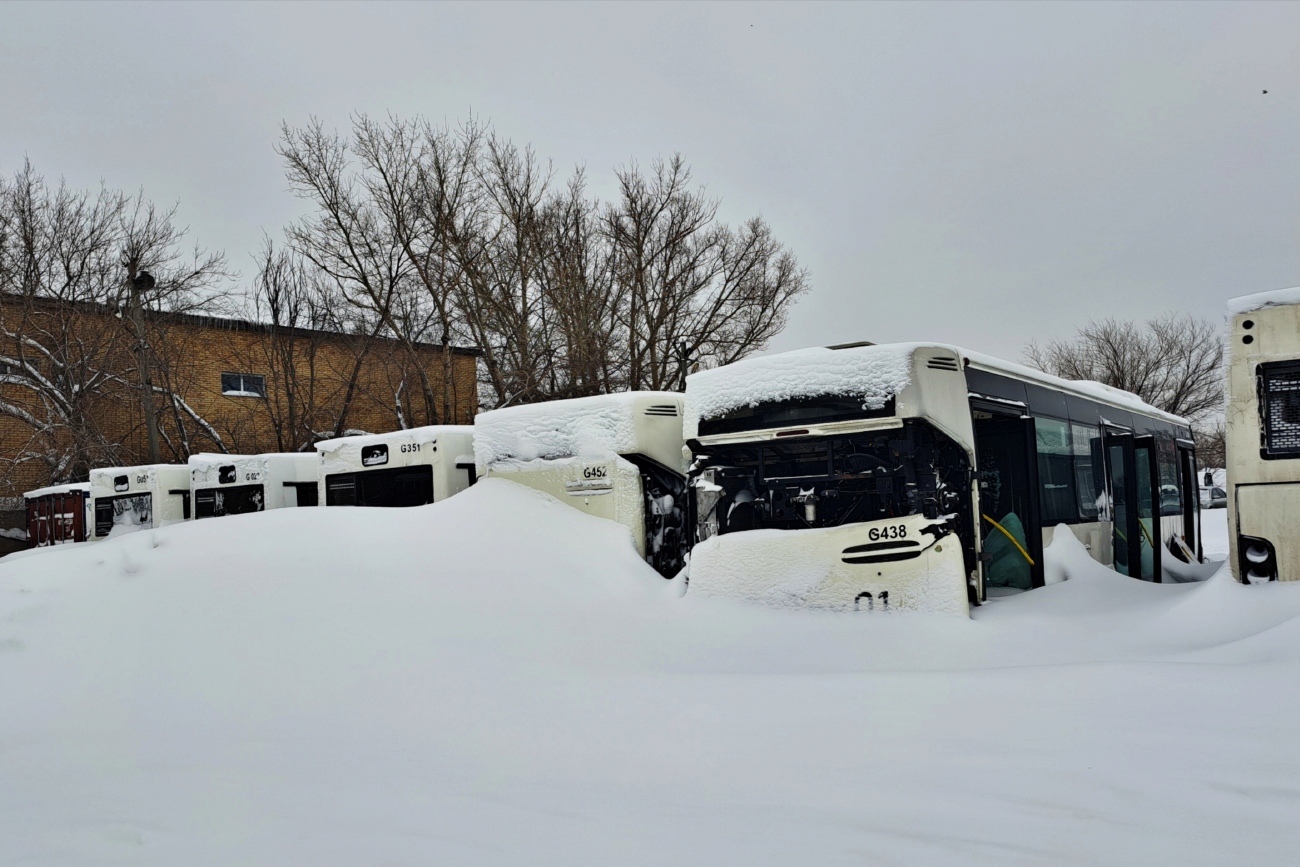 Астана, МАЗ-103.465 № G051; Астана, МАЗ-103.465 № G020; Астана, Irisbus Citelis 12M № G359