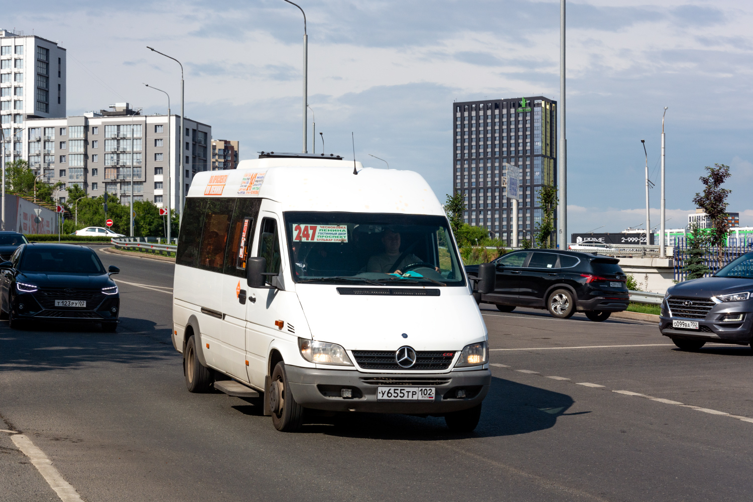 Башкортостан, Луидор-223201 (MB Sprinter Classic) № У 655 ТР 102