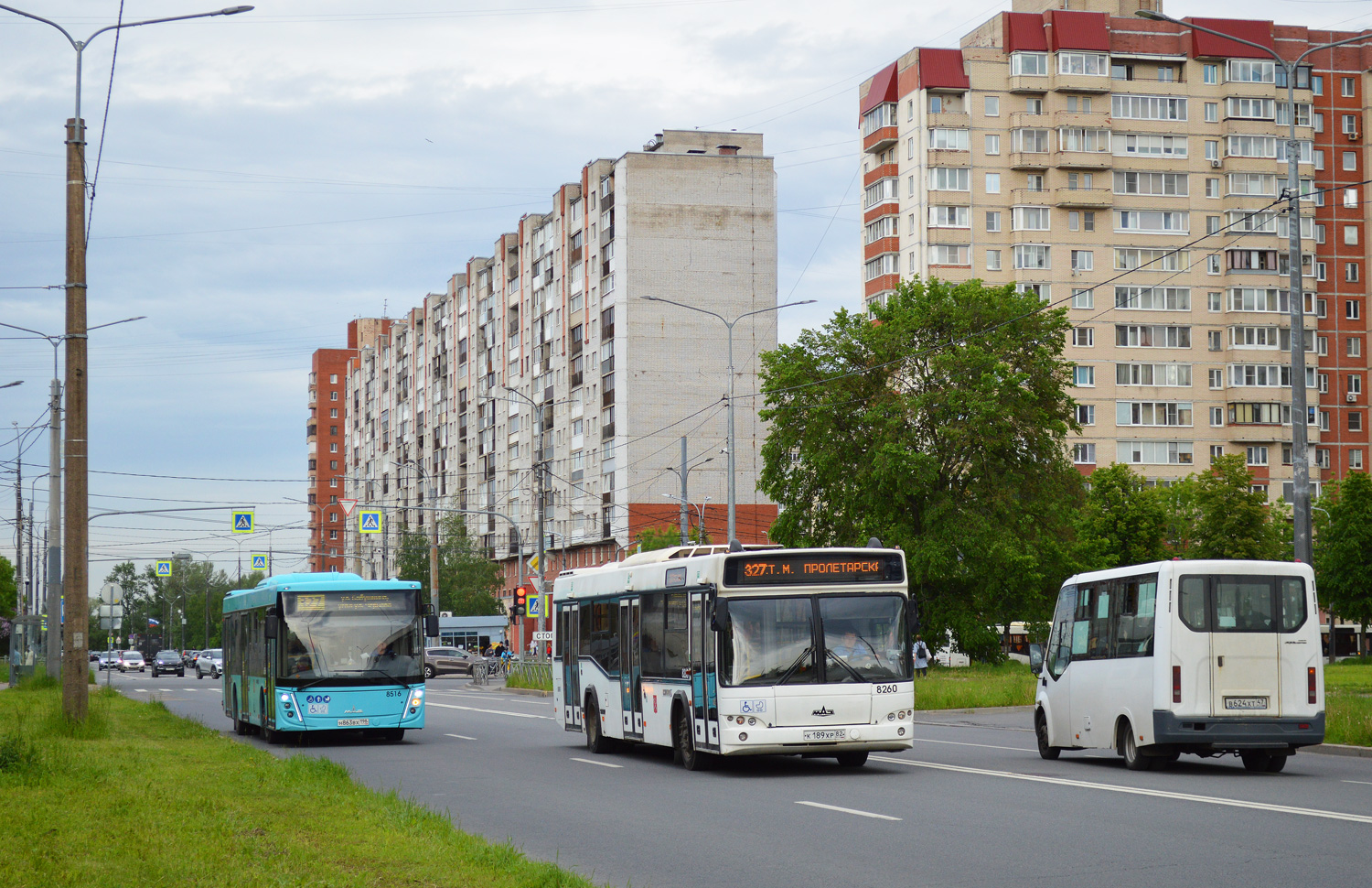Санкт-Петербург, МАЗ-203.047 № 8516; Санкт-Петербург, МАЗ-103.486 № 8260; Ленинградская область, Луидор-225019 (ГАЗ Next) № В 624 ХТ 47