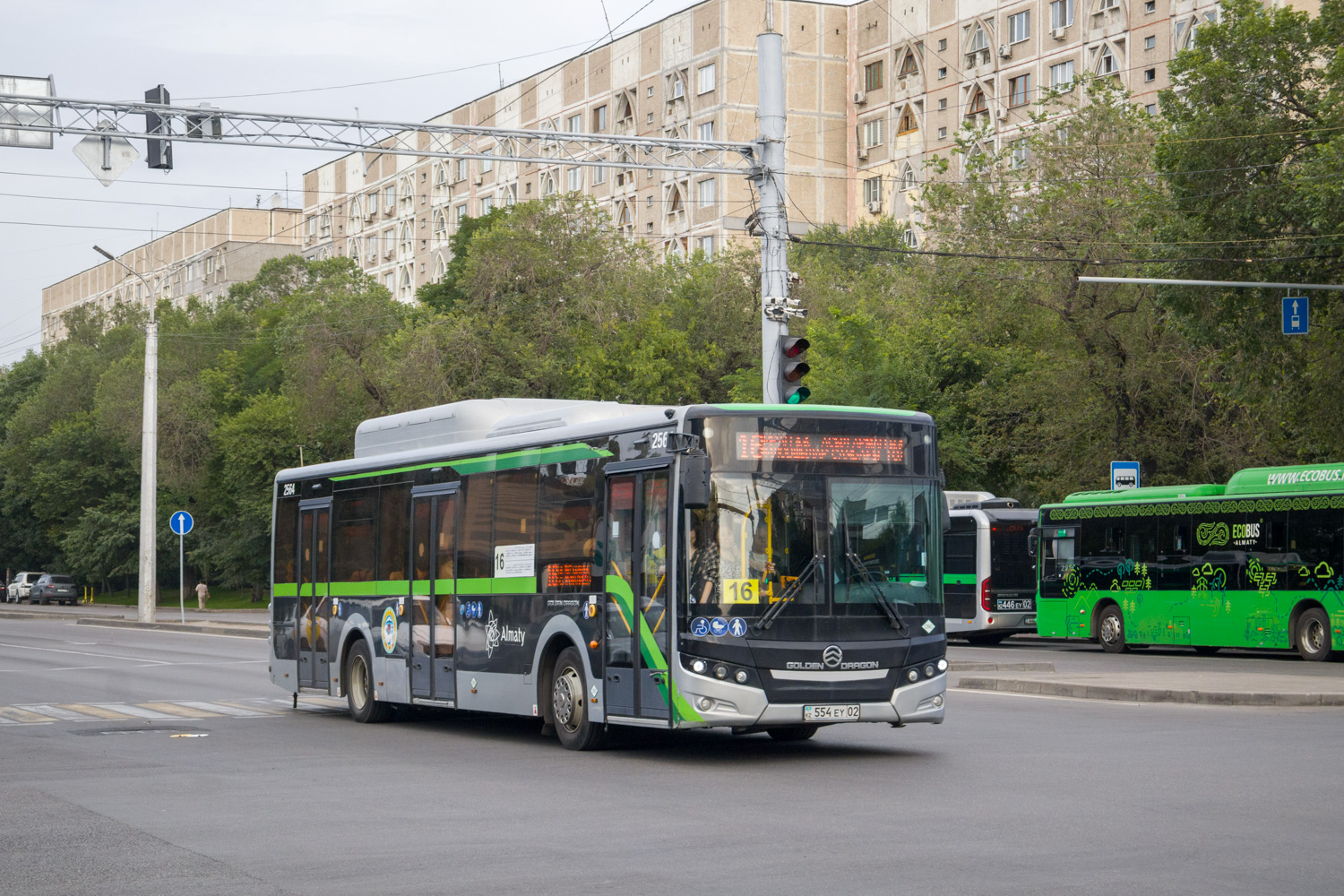 Алматы, Golden Dragon XML6125CN (Hyundai Trans Auto) № 2564