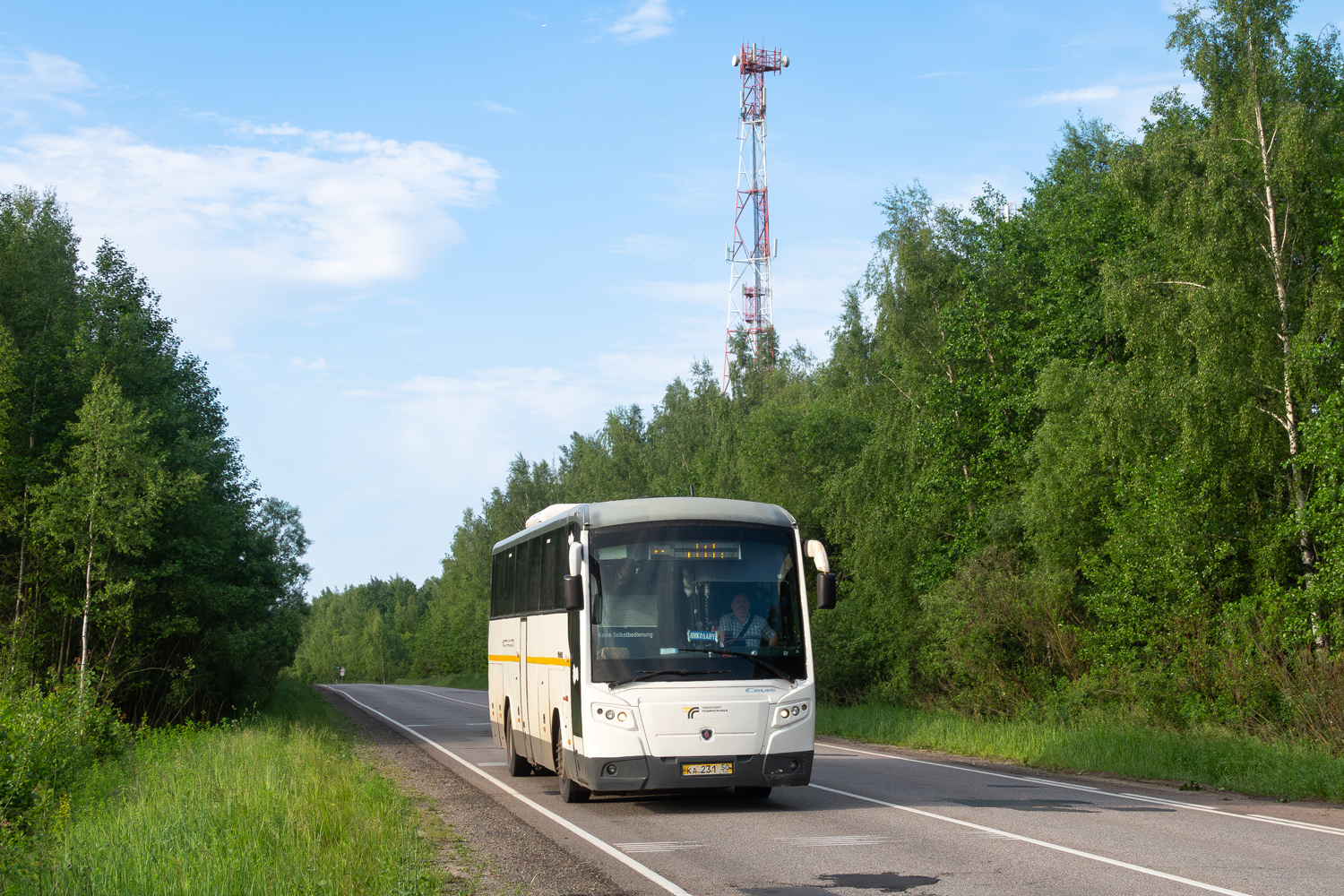 Московская область, ГолАЗ-529115-1x № 041513