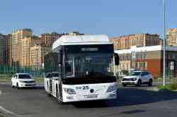 669 КБ