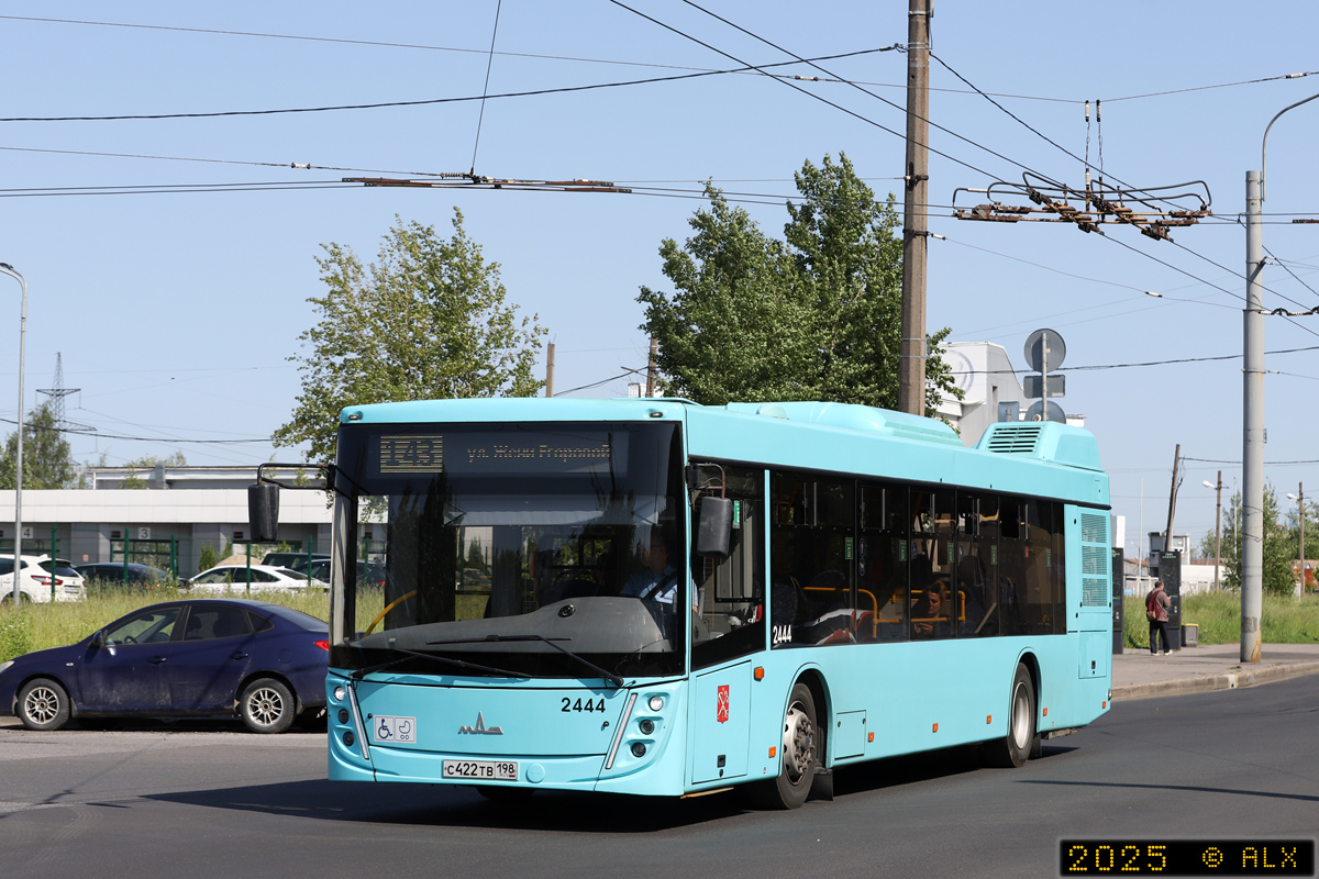 Санкт-Петербург, МАЗ-203.047 № 2444