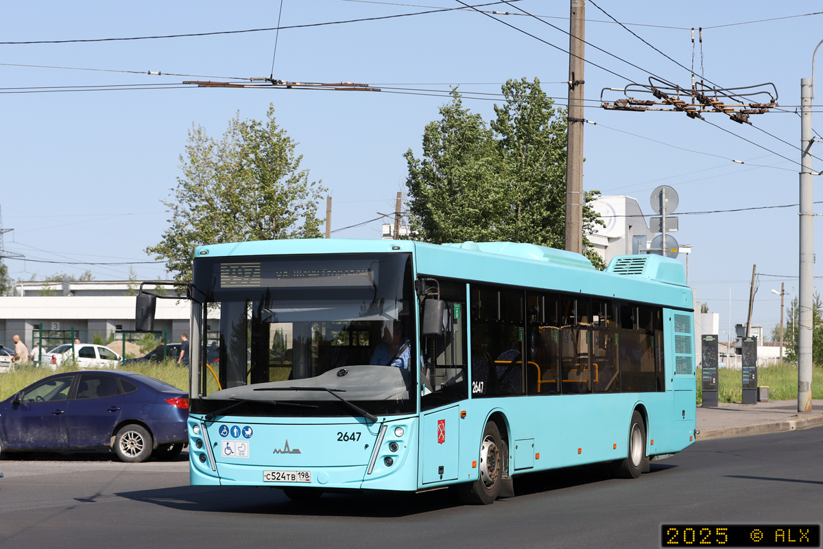 Санкт-Петербург, МАЗ-203.047 № 2647