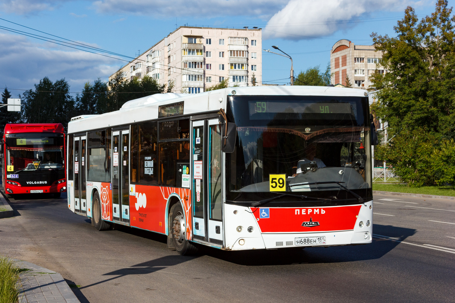 Пермский край, МАЗ-203.016 № Н 688 ЕН 159