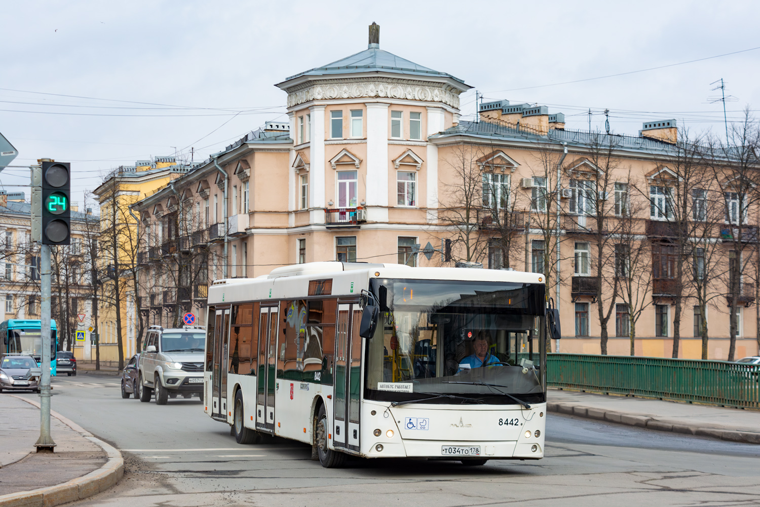 Санкт-Петербург, МАЗ-203.085 № 8442