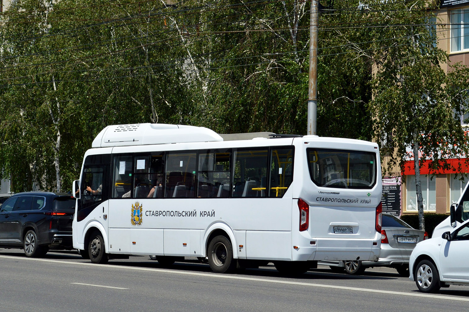 Ставропольский край, ПАЗ-320415-14 "Vector Next" № 117