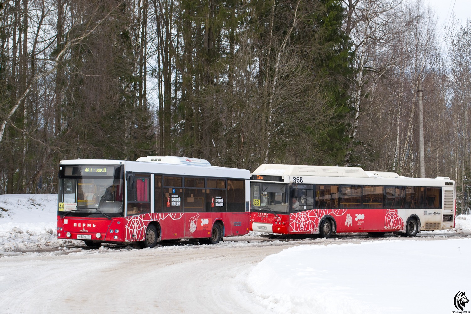 Пермский край, МАЗ-206.086 № Н 695 УЕ 159