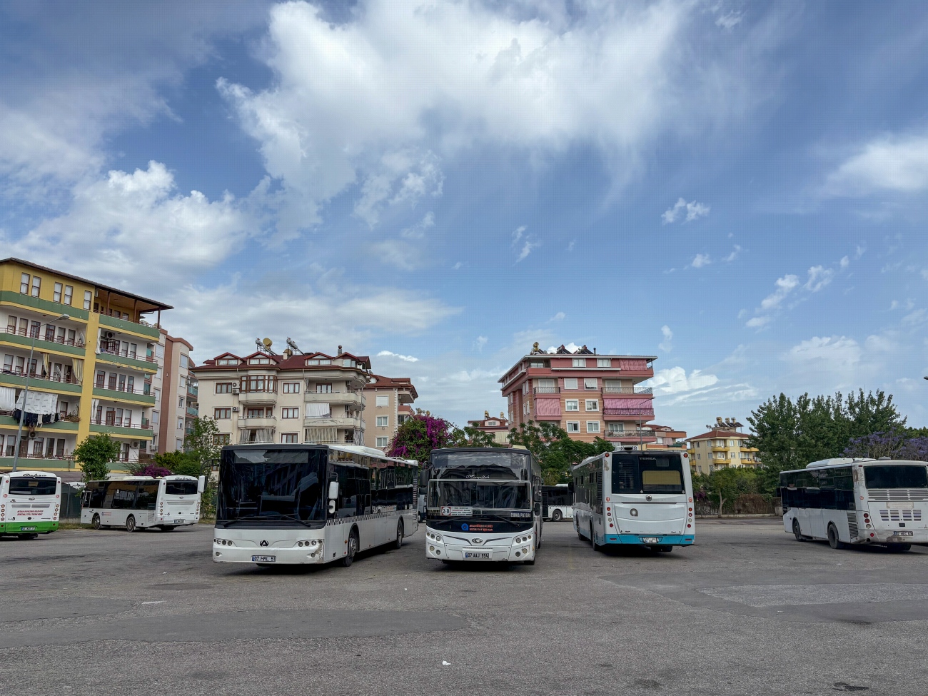 Турция, Akia Ultra LF12 № 51; Турция, Güleryüz Cobra GD272LF № 54; Турция, TEMSA Avenue 12LF № 17