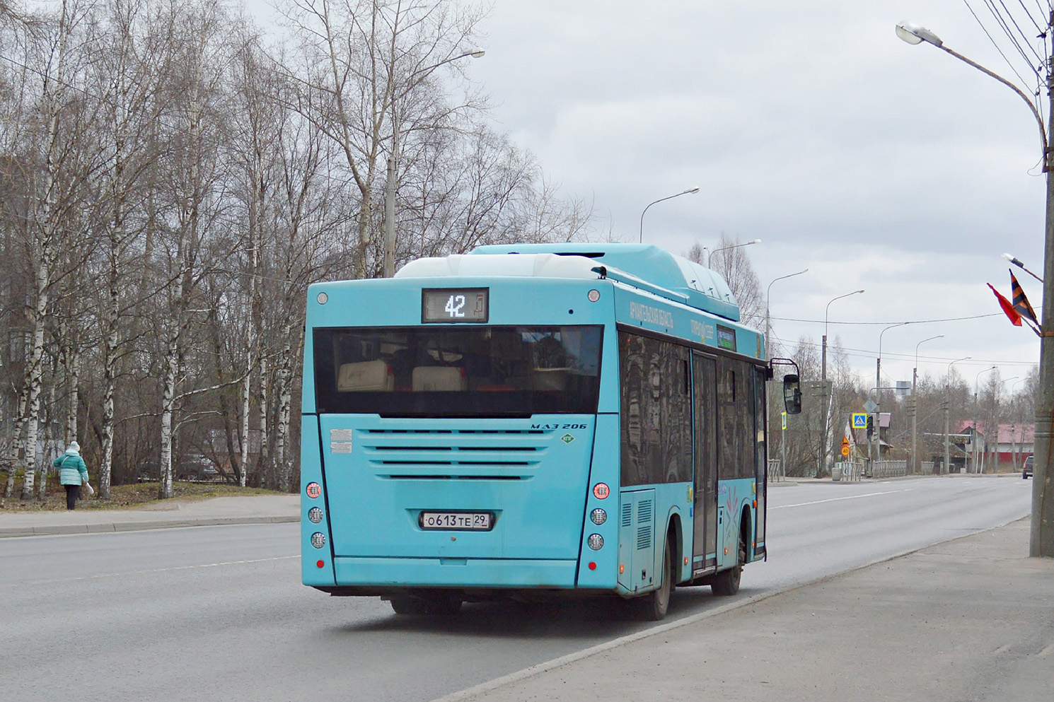 Архангельская область, МАЗ-206.948 № О 613 ТЕ 29