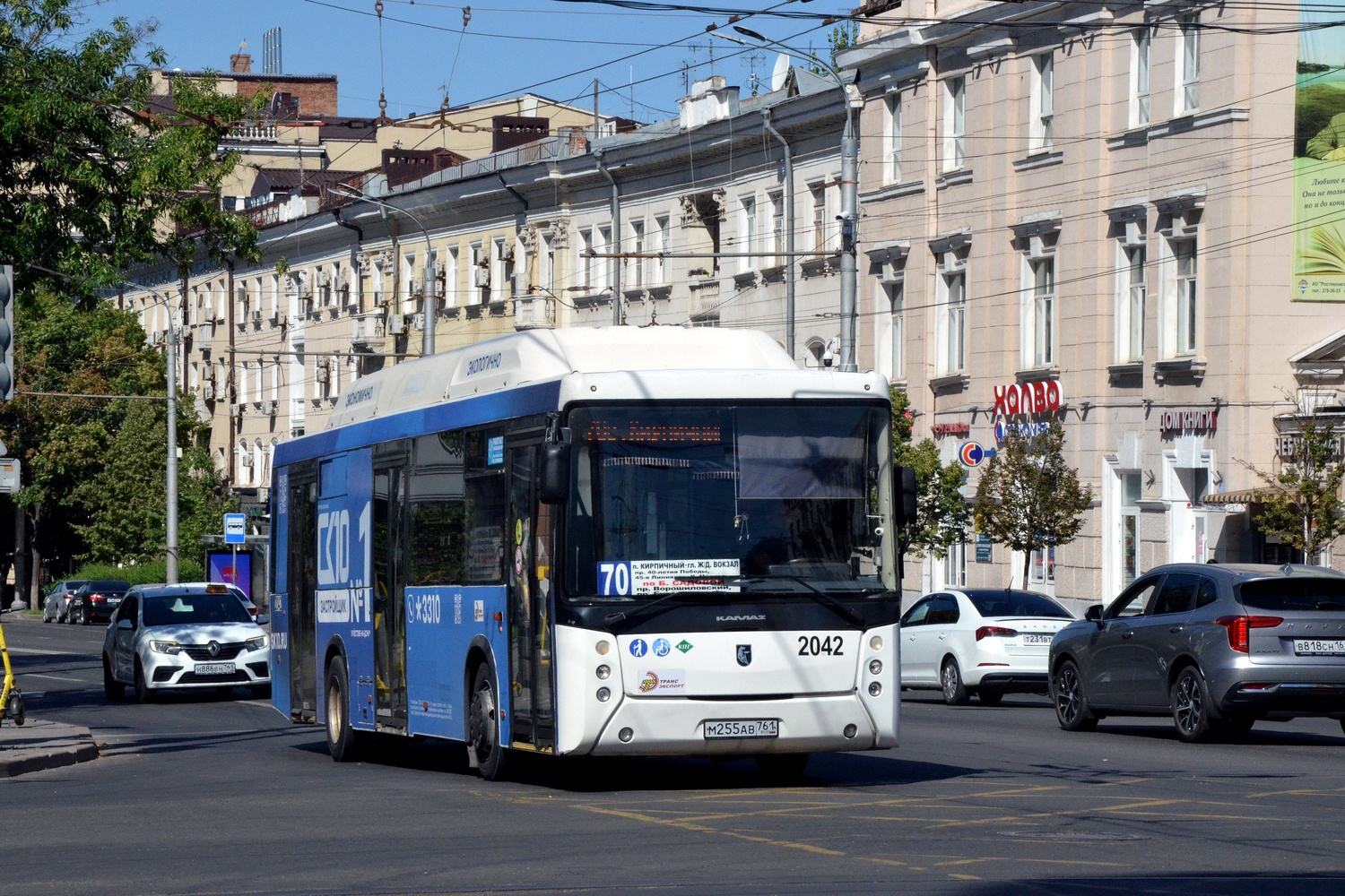 Ростовская область, НефАЗ-5299-40-51 № 2042