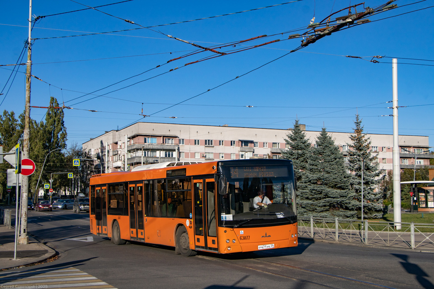 Калининградская область, МАЗ-203.085 № 63077