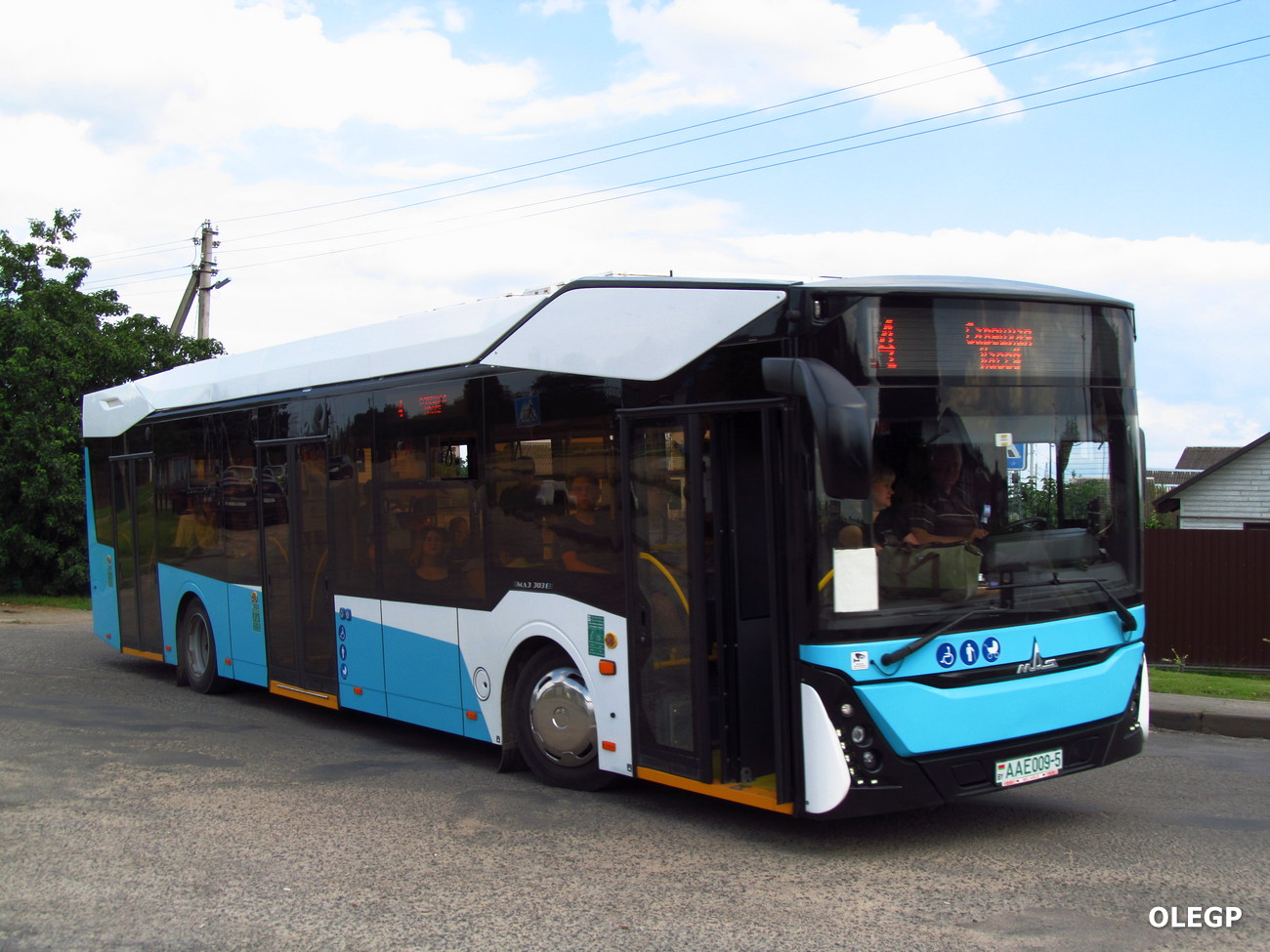 Минская область, МАЗ-303.E22 № 12338