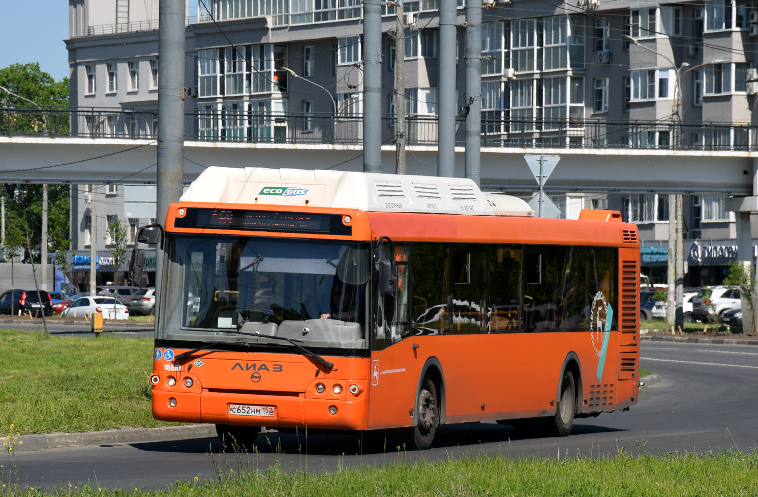 Нижегородская область, ЛиАЗ-5292.67 (CNG) № 15597