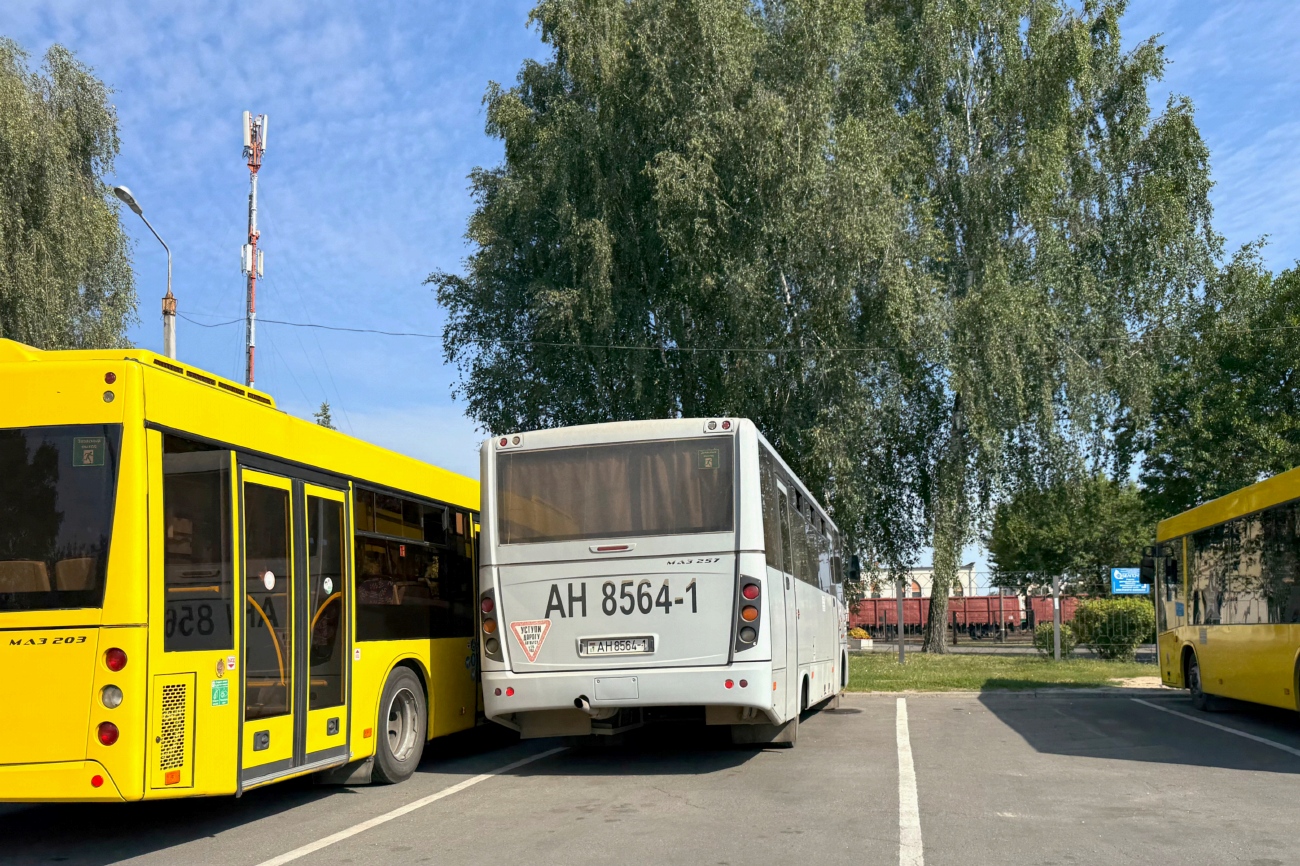 Брестская область, МАЗ-257.030 № 65137