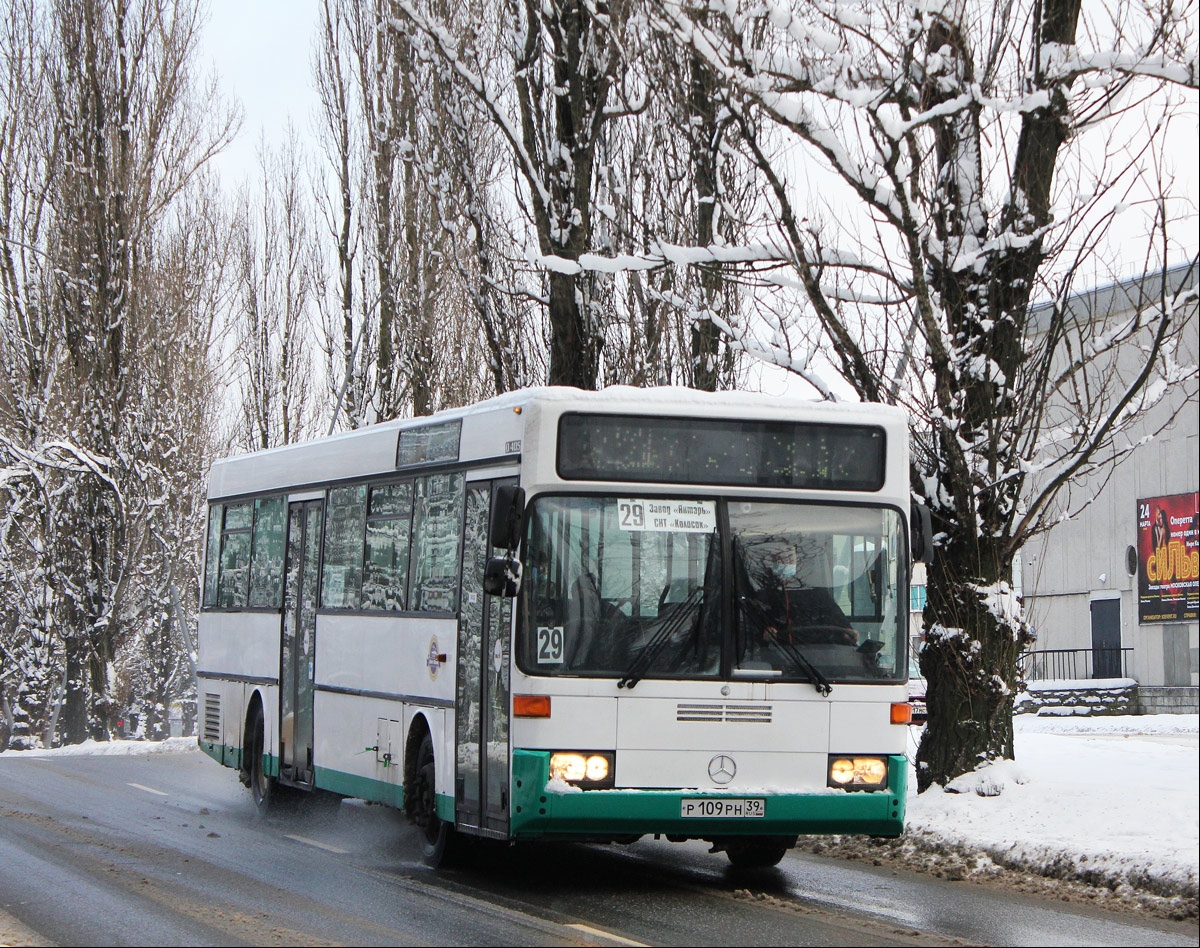 Калининградская область, Mercedes-Benz O405 № Р 109 РН 39