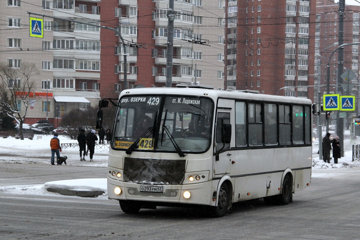 Ленинградская область, ПАЗ-320412-05 "Вектор" № О 293 РМ 47