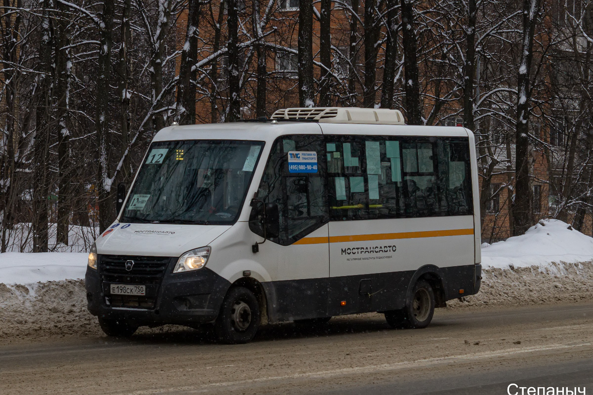 Московская область, Луидор-2250DS (ГАЗ Next) № Е 198 СК 750