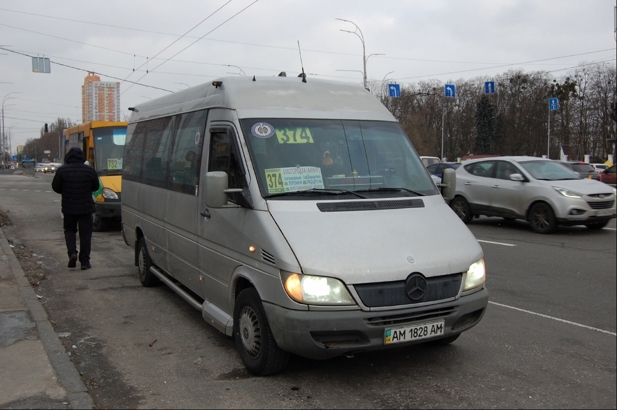 Киевская область, Mercedes-Benz Sprinter W903 313CDI № AM 1828 AM