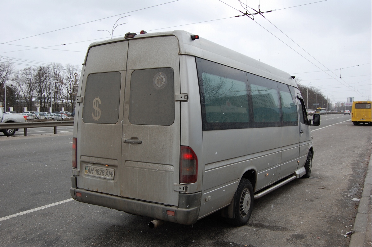 Киевская область, Mercedes-Benz Sprinter W903 313CDI № AM 1828 AM