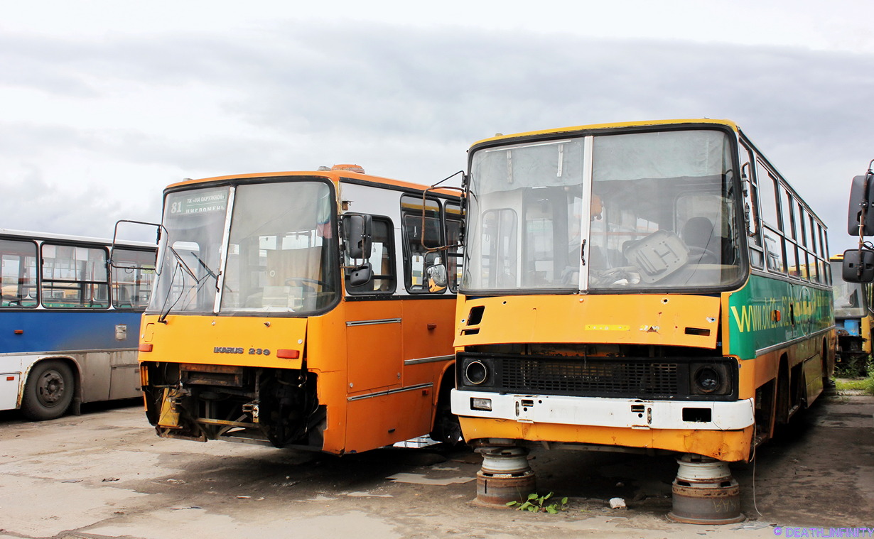 Архангельская область, Ikarus 260.51F № АА 749 29