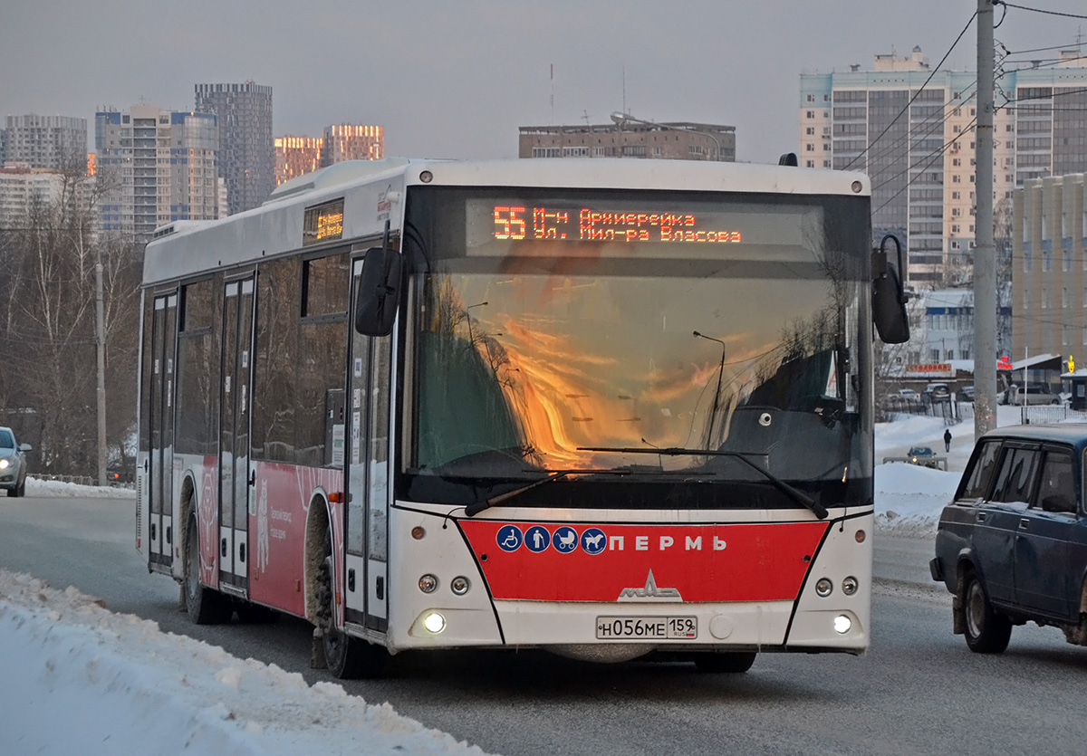 Пермский край, МАЗ-203.016 № Н 056 МЕ 159