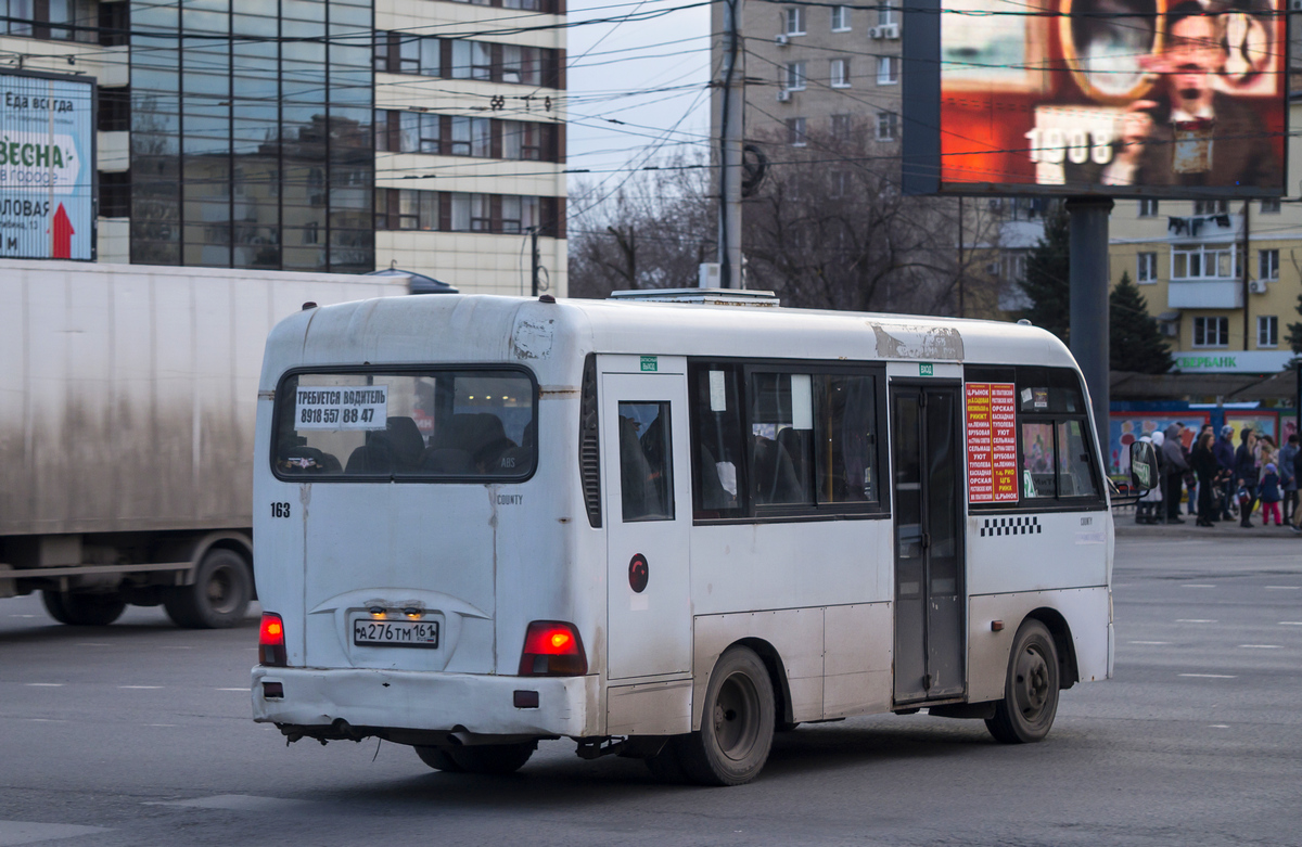 Ростовская область, Hyundai County SWB C08 (ТагАЗ) № 163