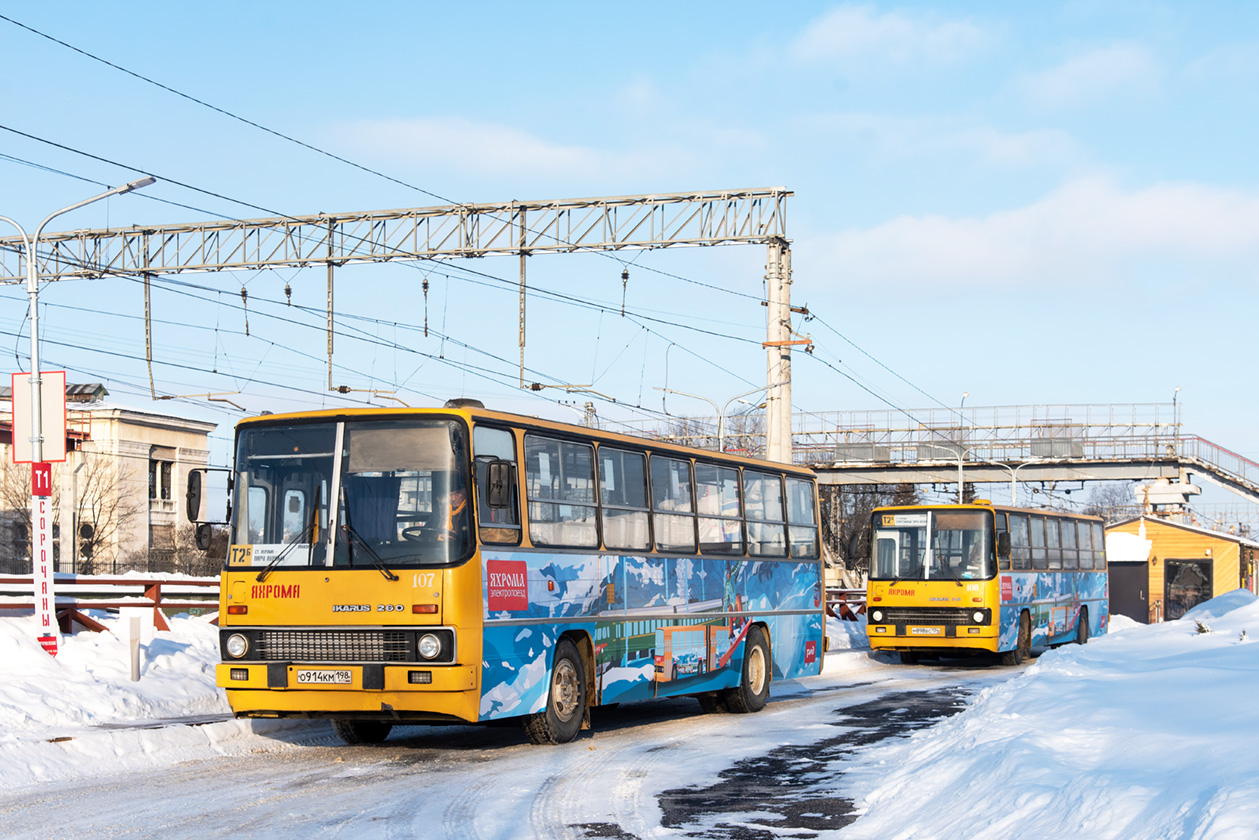 Московская область, Ikarus 260.51F № 107