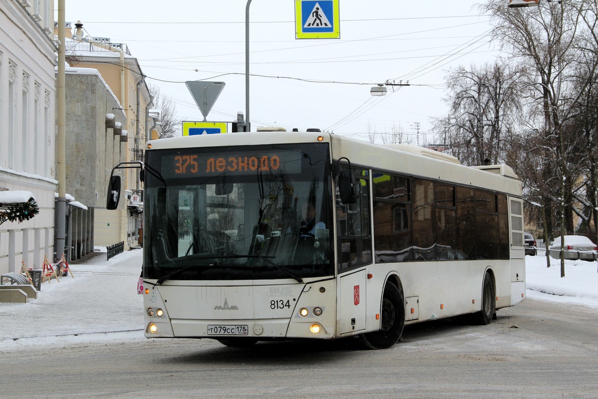 Санкт-Петербург, МАЗ-203.085 № 8134