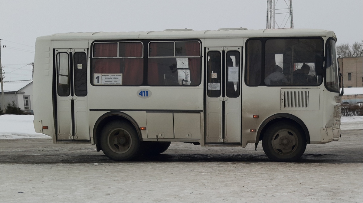 Челябинская область, ПАЗ-32054 № 411