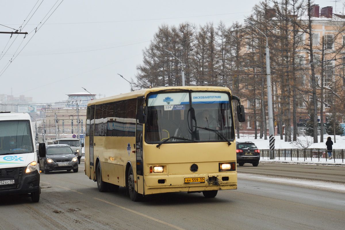 Омская область, ЛАЗ-4207JT "Лайнер-10" № 141