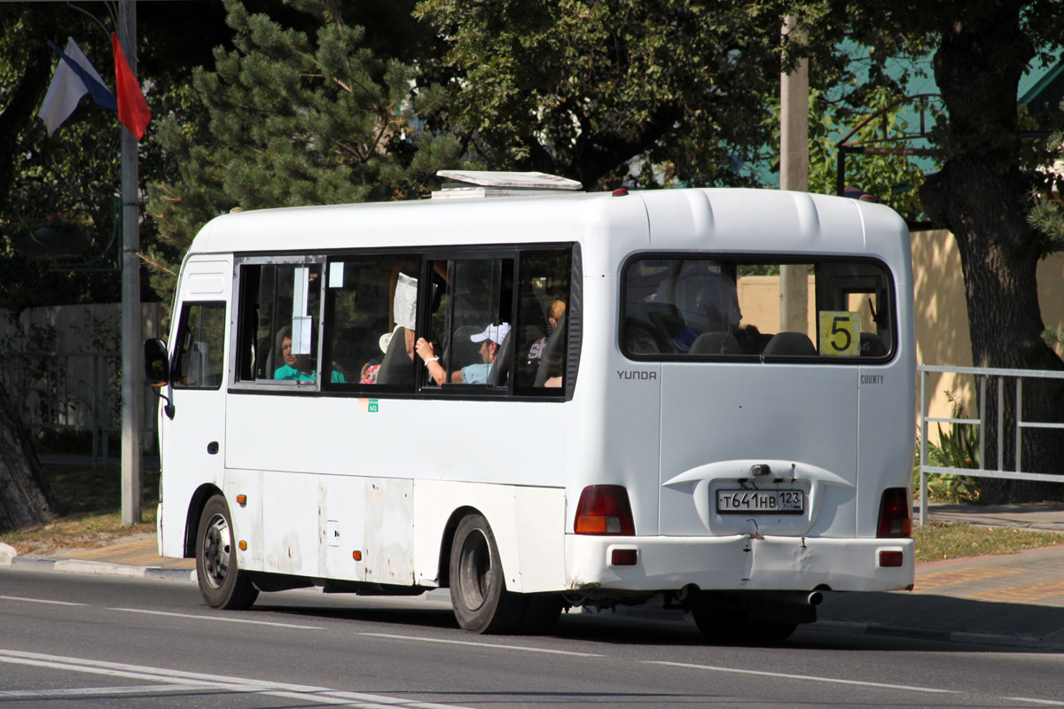 Краснодарский край, Hyundai County LWB C11 (ТагАЗ) № Т 641 НВ 123