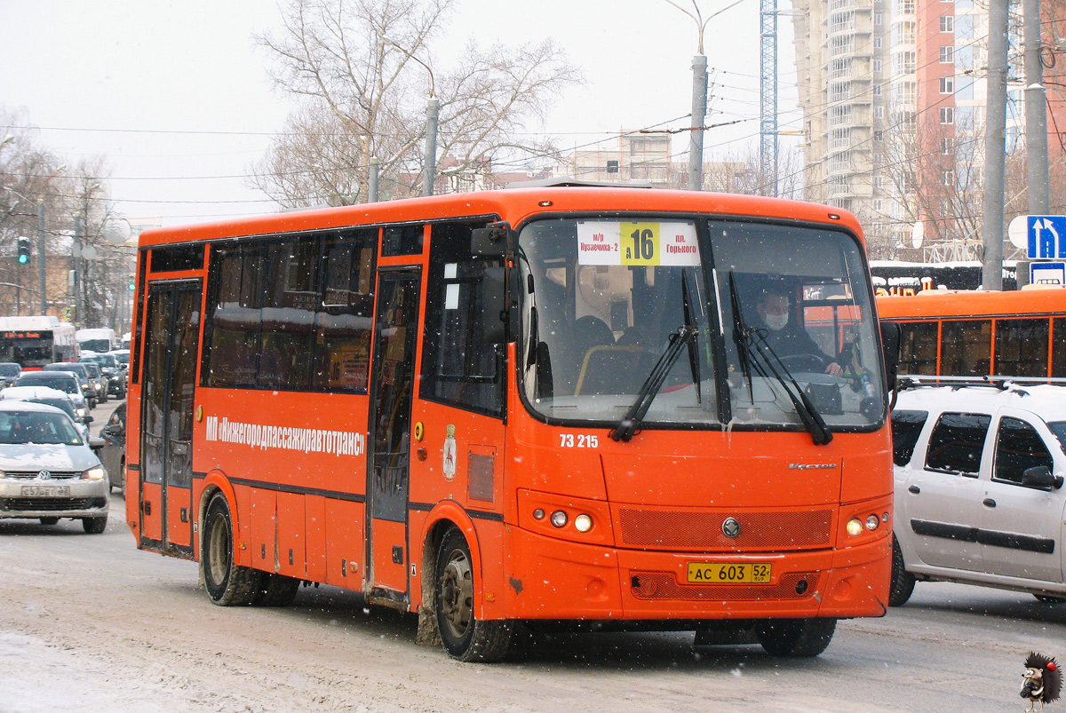 Нижегородская область, ПАЗ-320414-05 "Вектор" (1-2) № 73215