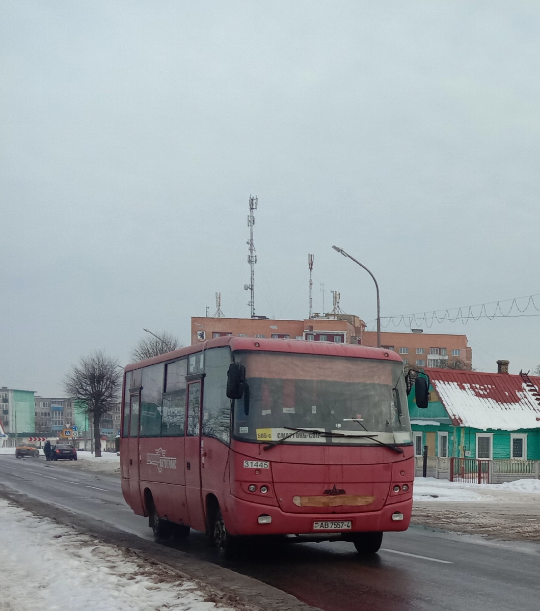 Гродненская область, МАЗ-256.170 № 031445