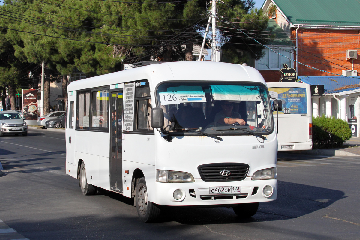 Краснодарский край, Hyundai County LWB (ТагАЗ) № С 462 ОК 123