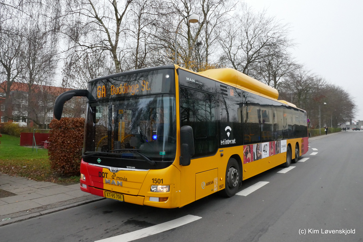 Дания, MAN A45 Lion's City C LE NL313-13,7 CNG № 1501