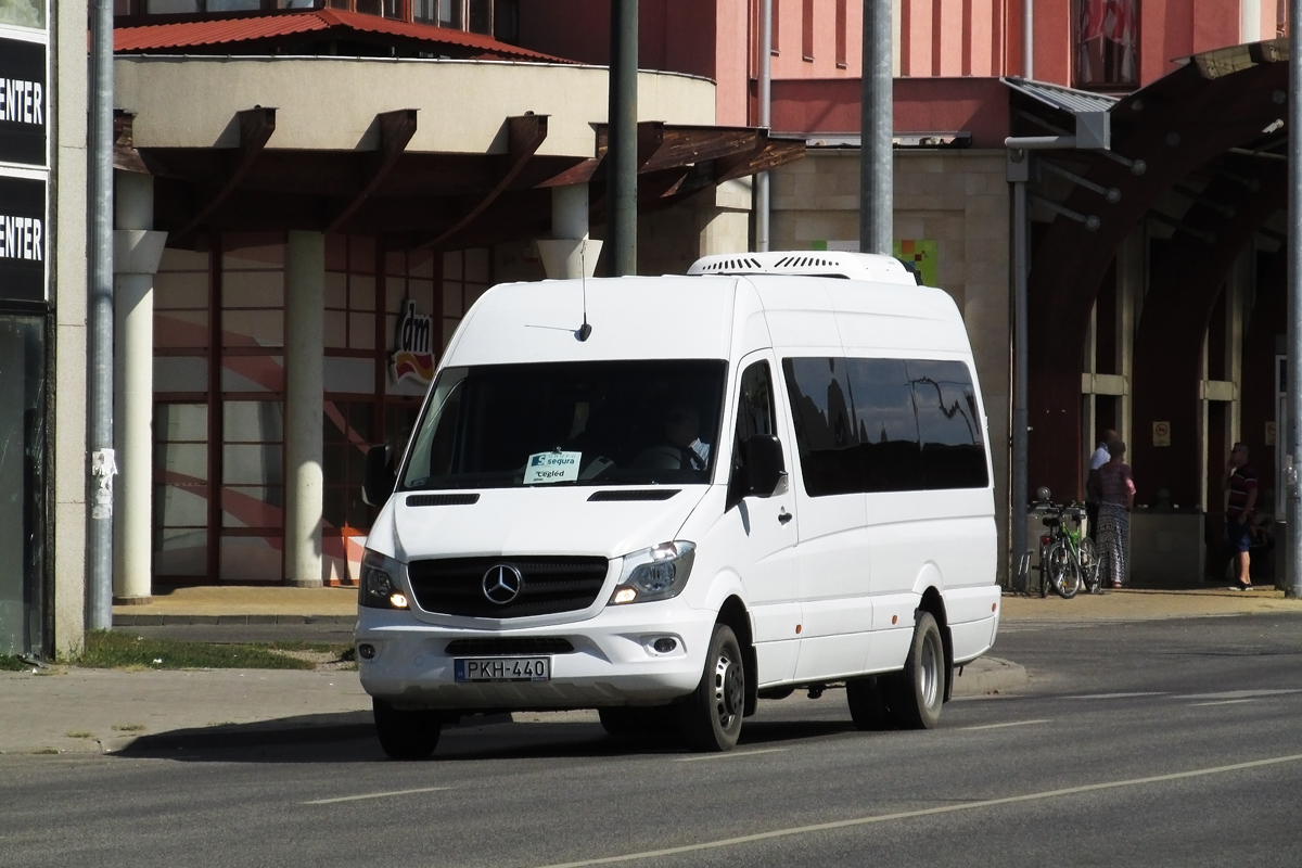 Венгрия, Mercedes-Benz Sprinter W906 519CDI № PKH-440