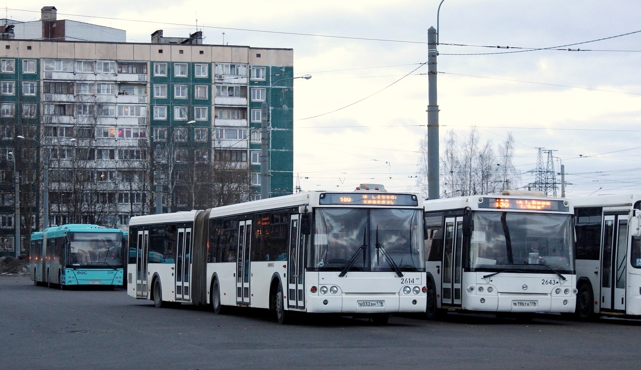 Санкт-Петербург, ЛиАЗ-6213.20 № 2614