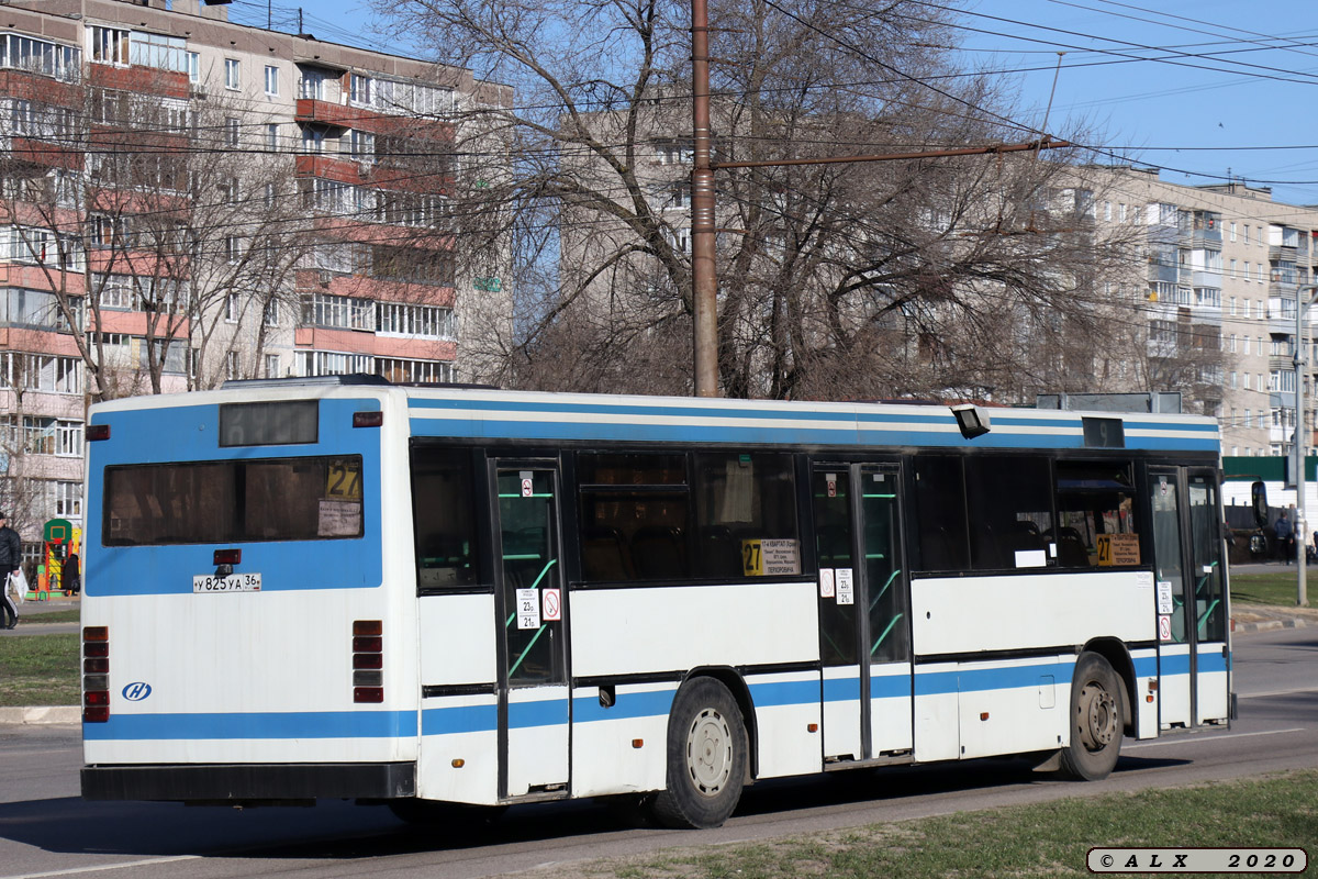 Воронежская область, Carrus K204 City № У 825 УА 36