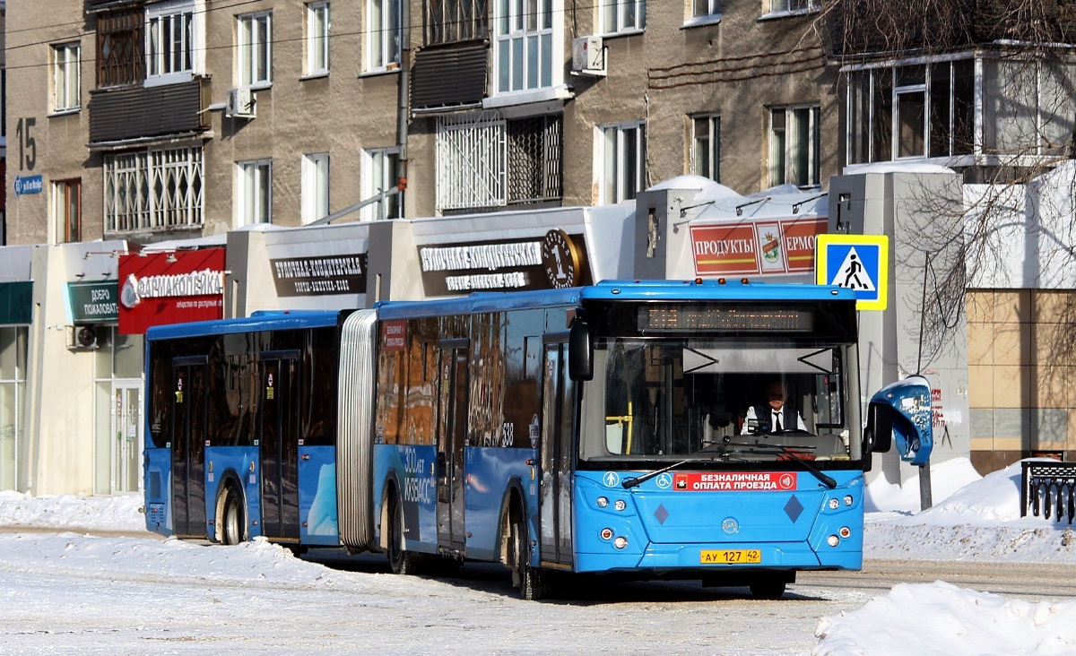 Kemerovo region - Kuzbass, LiAZ-6213.65 Nr. 538