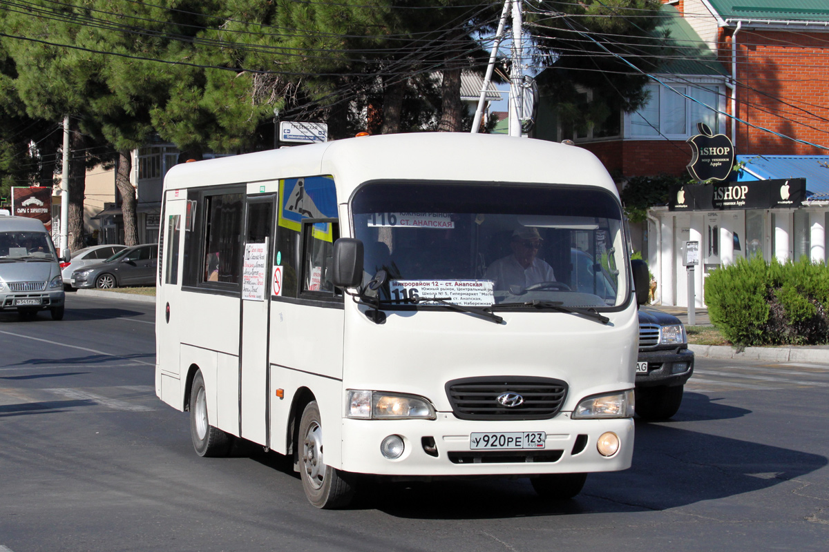 Krasnodar region, Hyundai County SWB (RZGA) # У 920 РЕ 123