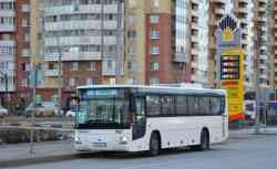 379 КБ