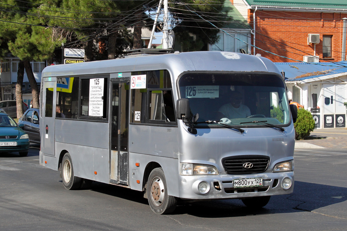 Краснодарский край, Hyundai County LWB C09 (ТагАЗ) № М 800 УХ 123