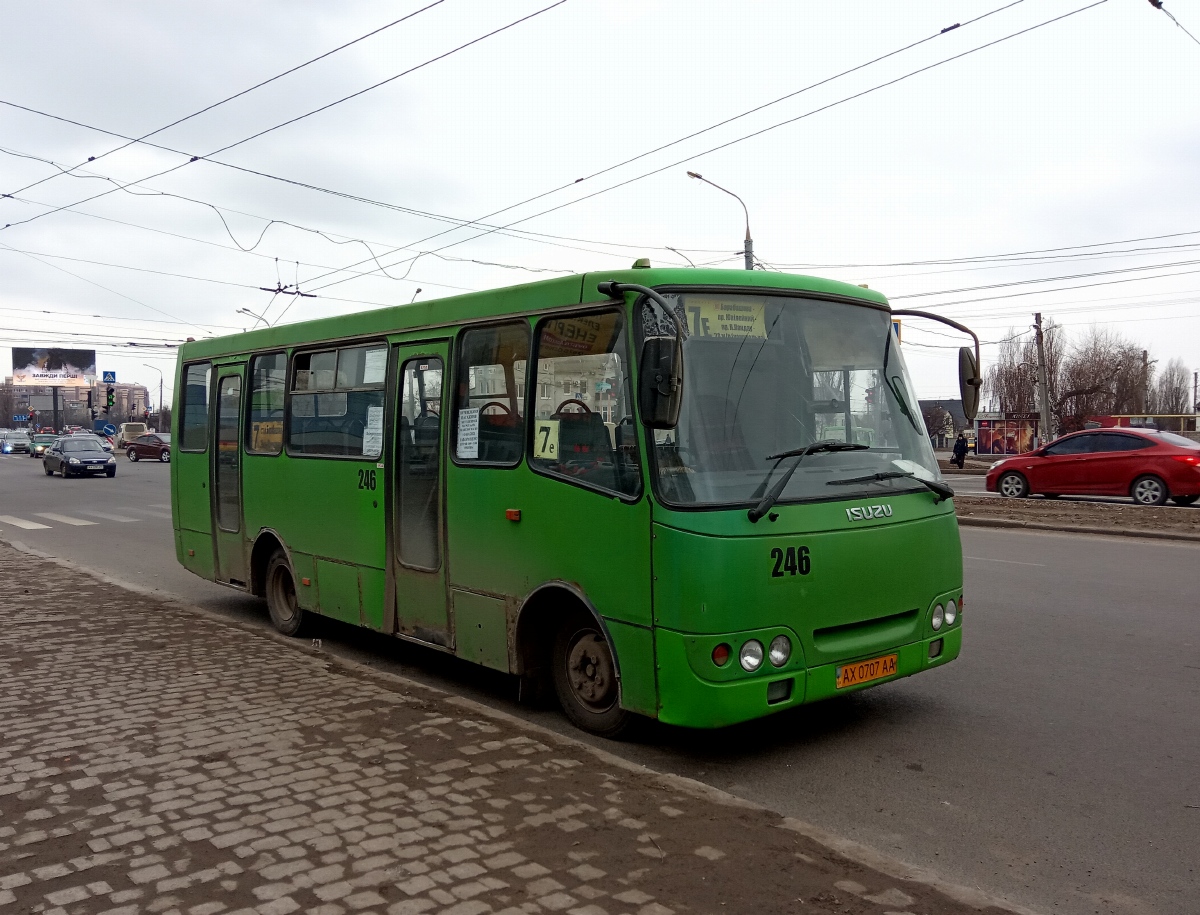 Kharkov region, ChA A09202 # 246