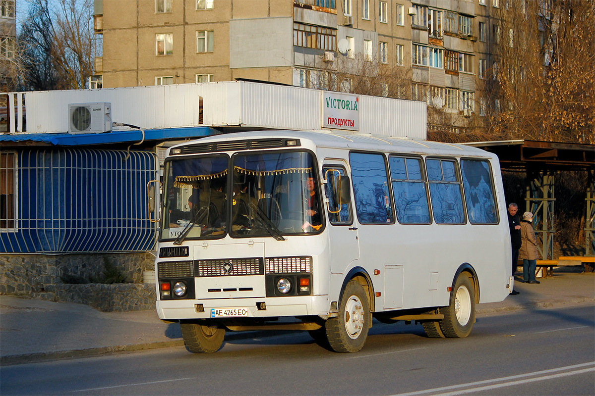 Днепропетровская область, ПАЗ-3205*  (двери 2-1) № AE 4265 EO