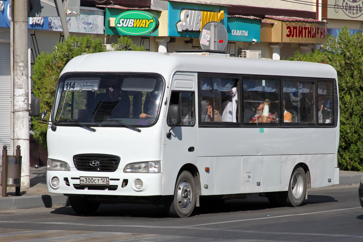 Краснодарский край, Hyundai County LWB C09 (ТагАЗ) № Н 300 СТ 123