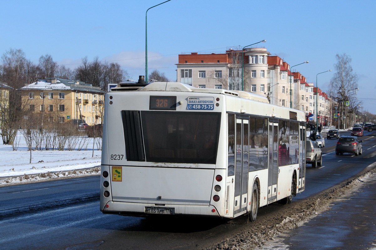 Санкт-Петербург, МАЗ-203.085 № 8237