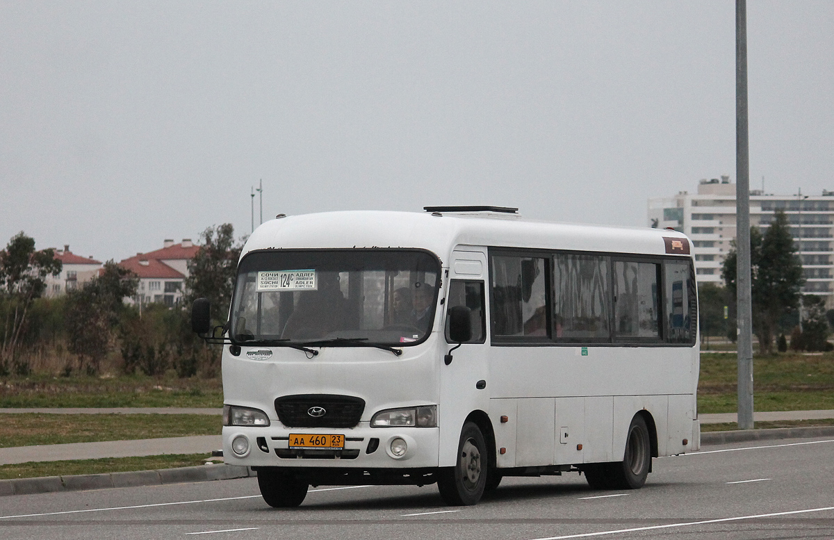 Краснодарский край, Hyundai County LWB (ТагАЗ) № АА 460 23